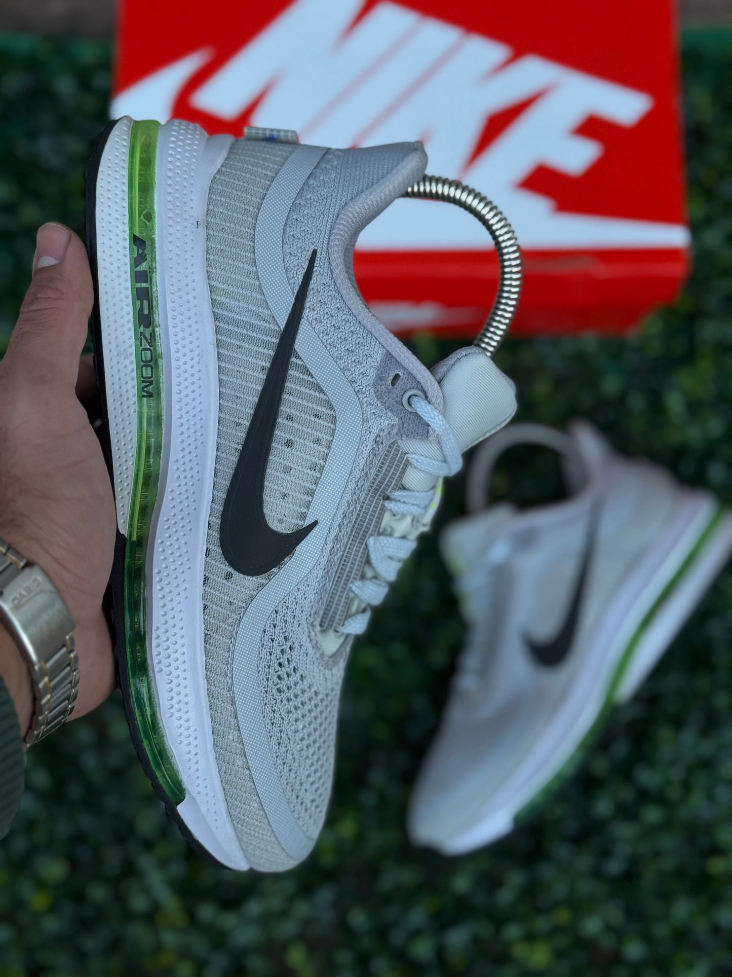 Zoom Pegasus