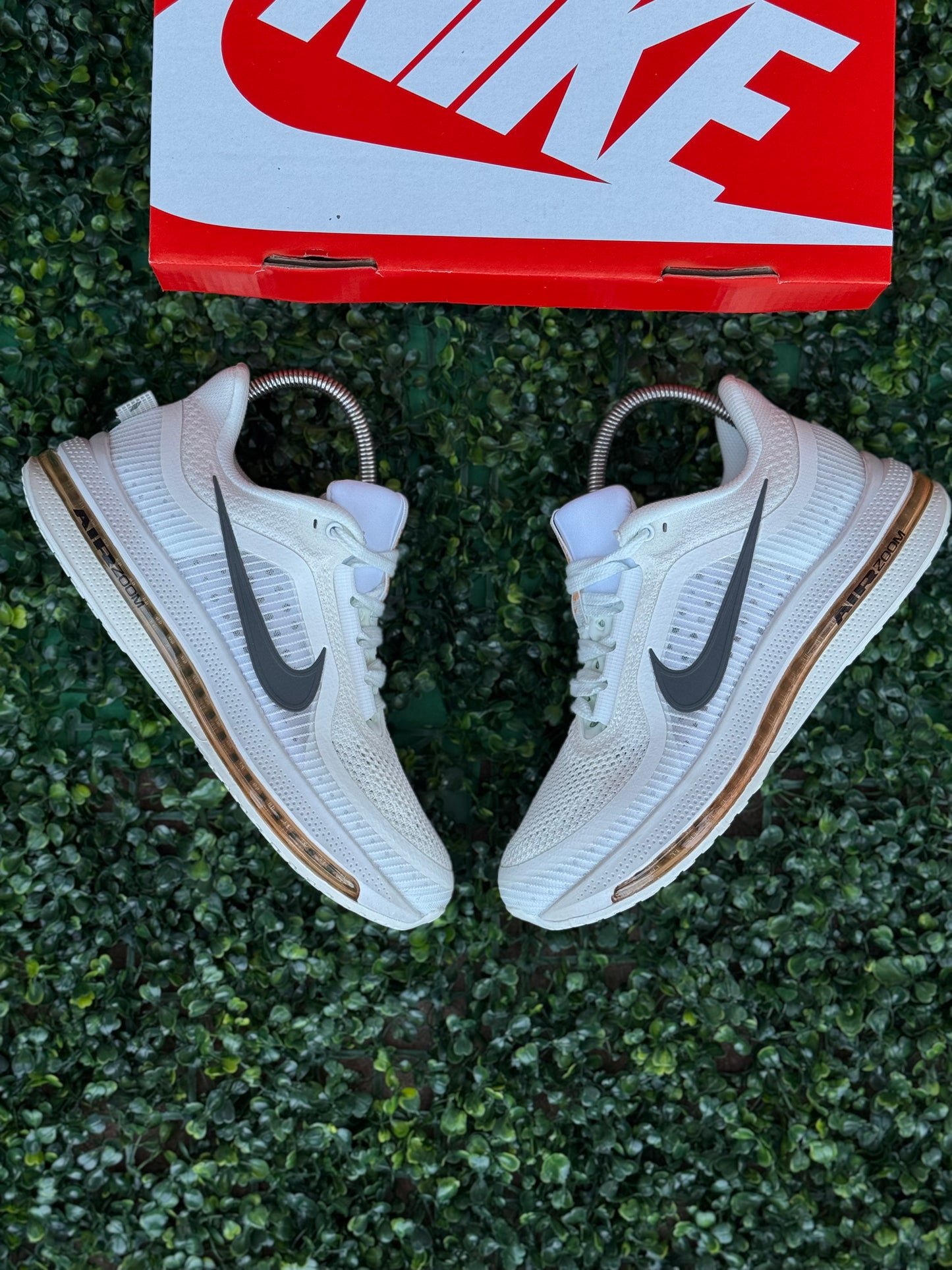 Zoom Pegasus