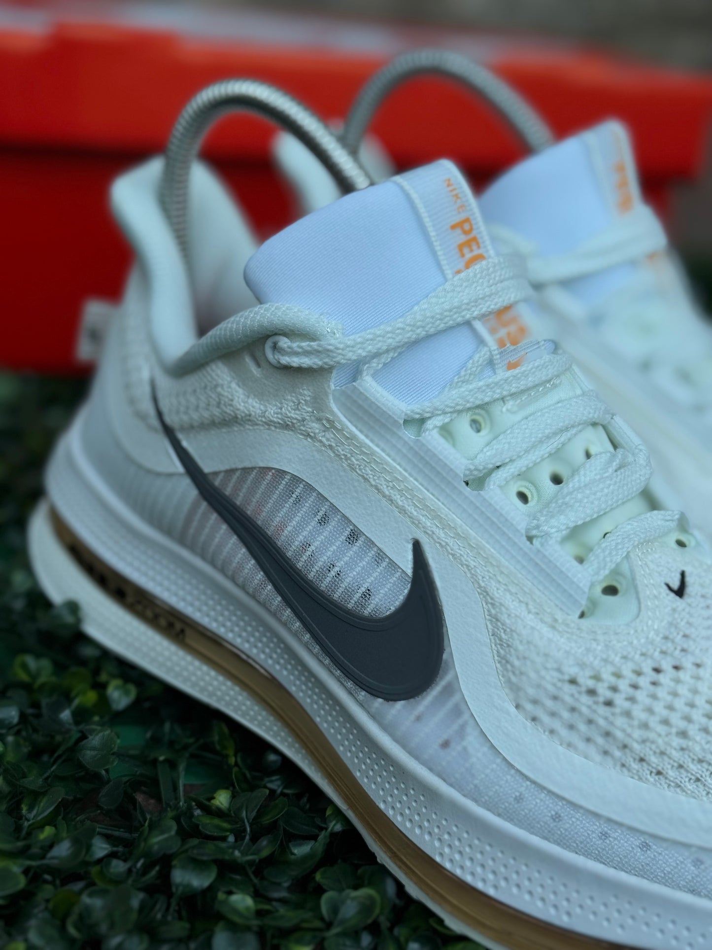Zoom Pegasus