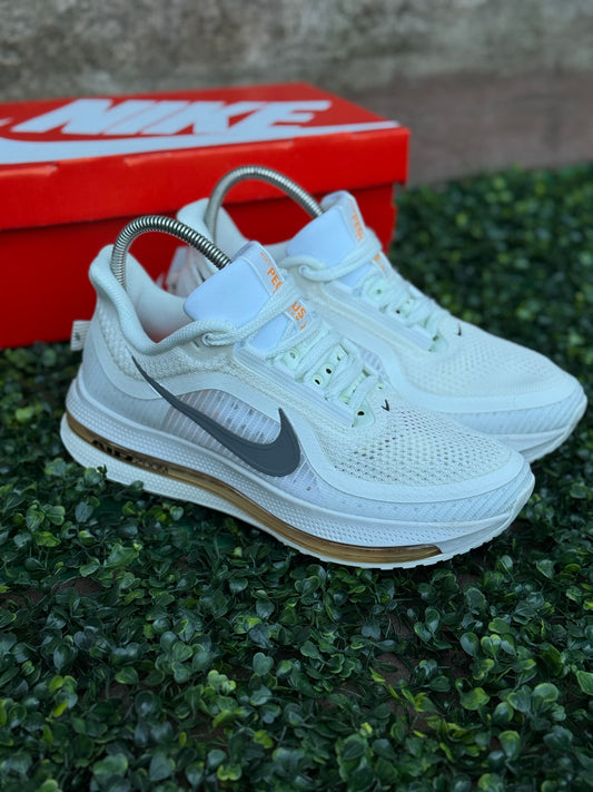 Zoom Pegasus