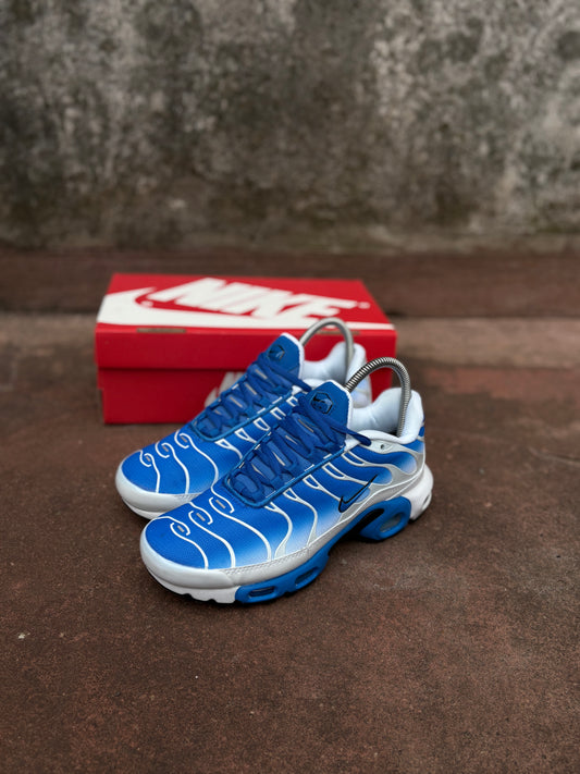 Air Max Tn blue and white