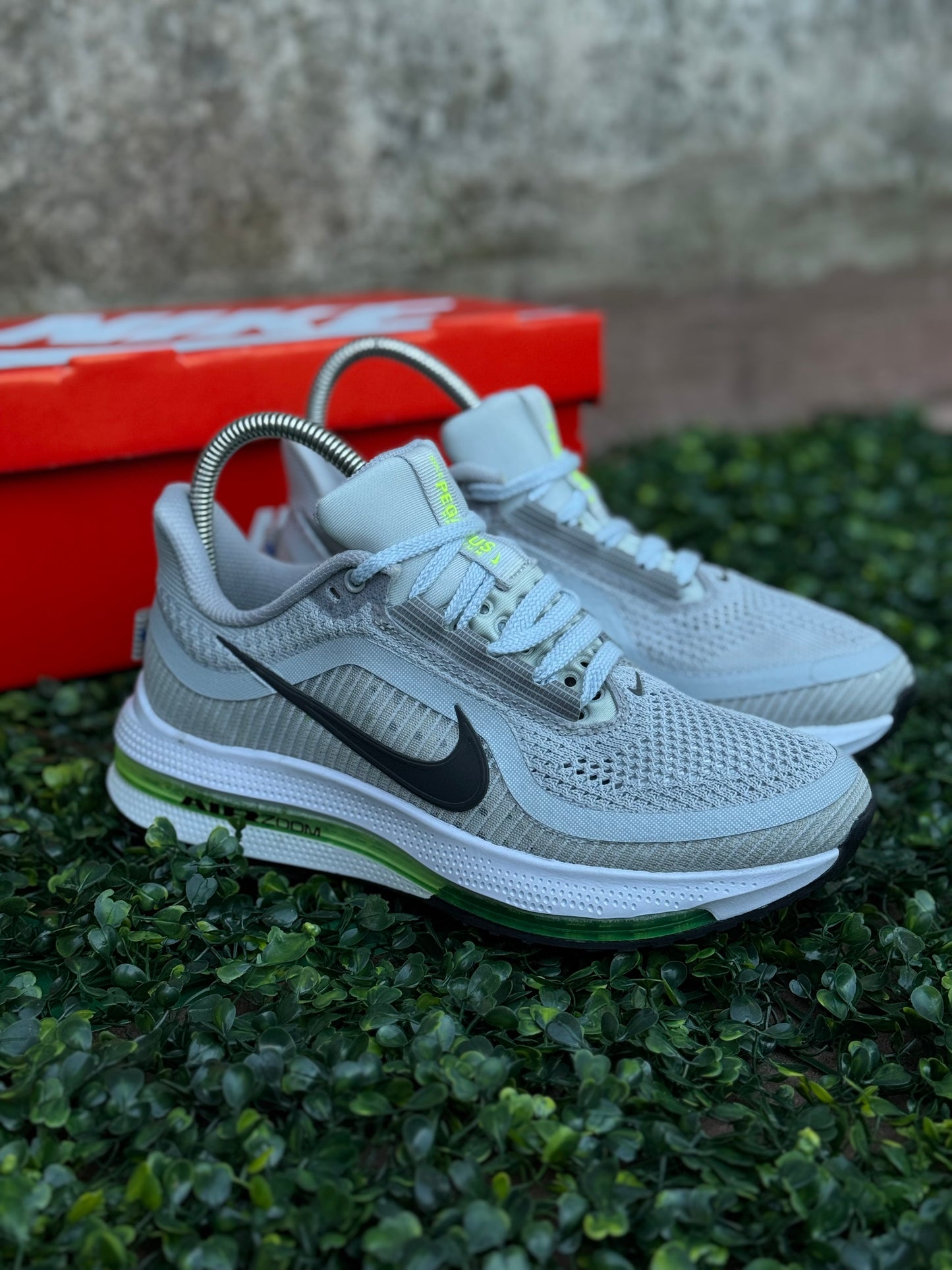 Zoom Pegasus