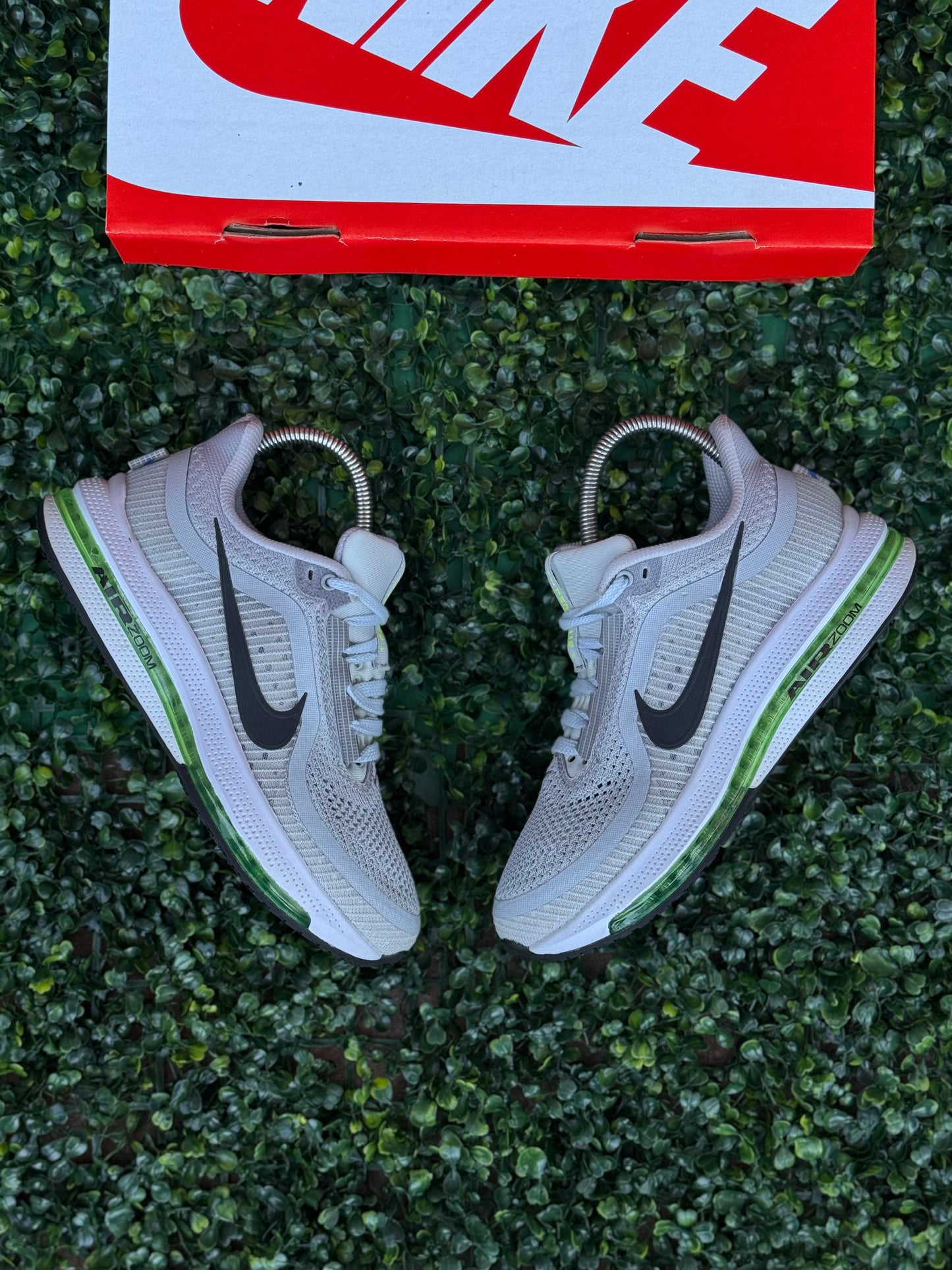 Zoom Pegasus
