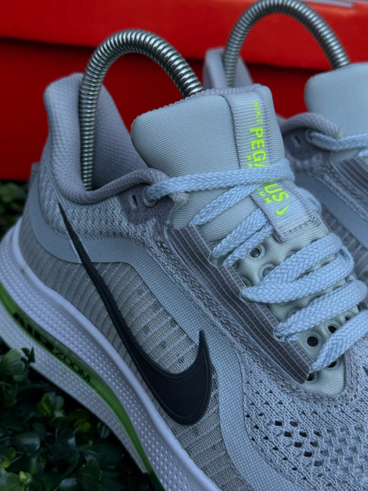 Zoom Pegasus